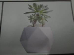 Set of 4 Succulent Planters V2...