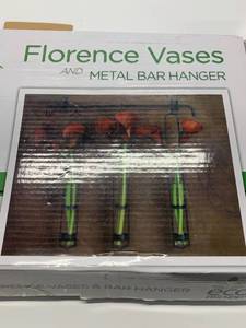Couronne Florence Vases and Metal Bar Hanger