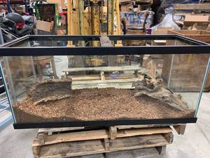 lot 79 image: Large Terrarium  Aquarium  Vivarium