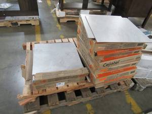 lot 222 image: Approximately 8 Cases of Msi Breccia 19 in. x 19 in. Glazed Ceramic Floor and Wall Tile (24.54 sq. ft.  case)