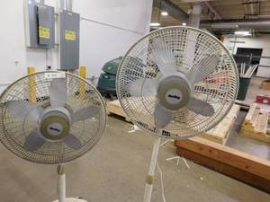 lot 355 image: 2 - Oscillating Fans