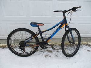lot 8 image: Giant XTC Jr Bicycle