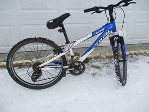 lot 9 image: Trek Youth Bike