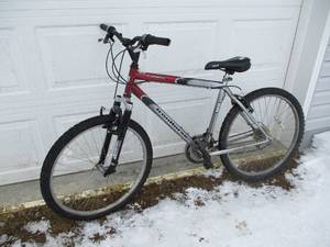 lot 43 image: Ironhorse Outlaw SX Bike
