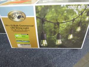 lot 166 image: 24 ft. 12-Light Filament LED String...