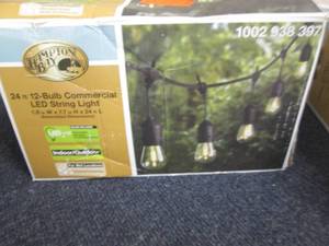 lot 169 image: 24 ft. 12-Light Filament LED String...