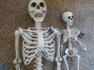 2 Halloween Skeletons 60 and 34 ...
