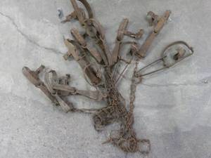 12 Animal Traps...