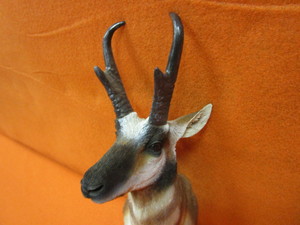 lot 91 image: (New) Antelope Figurine Coat Hook