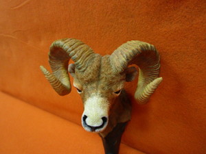 lot 93 image: (New) Bighorn Sheep Figurine Coat Hook