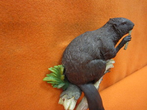 lot 95 image: (New) Beaver Figurine Coat Hook