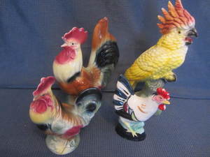 Chickens with Copley