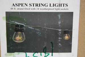 String Light Company Aspen 48-Ft Outdoor Commercial String Lights with 24 Sockets and 24 Clear S14 Bulbs, 16 Gauge Black Cord