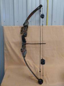 Compound Bow