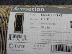 lot 118 image: Sensation 2 ft x 3 ft BlackBlack R...