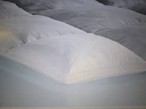 lot 34 image: Sleep Connection Soft Featherbed ...