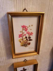 lot 31 image: Framed Dried Floral Flower Arrangements