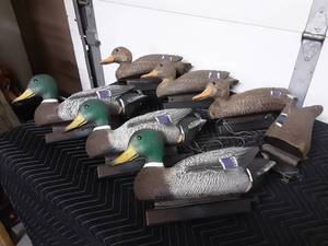 lot 29 image: 7-Flambeau Duck Decoys