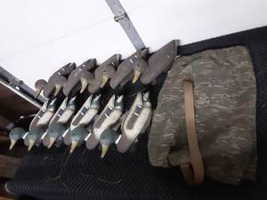 lot 30 image: 10-Flambeau Duck Decoys With Bags