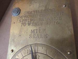 Brass Faced Milk Scale