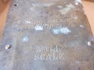 Brass Faced Milk Scale