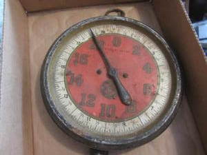Enamel Faced Scale
