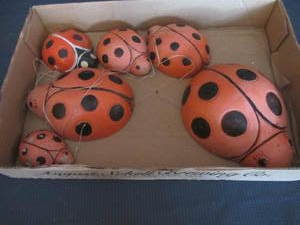 Cement Lady Bugs