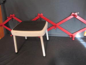 Cosco Step Stool