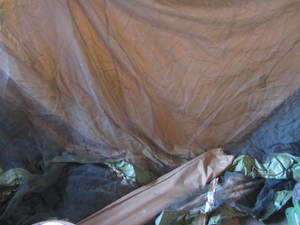 Screen Tent