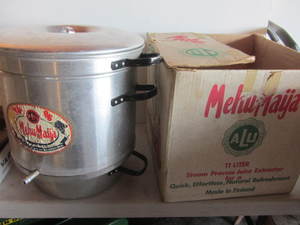 Steam Juice Extractor
