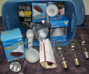lot 57 image: Assorted Light Bulbs