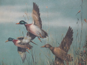 lot 274 image: Nice Vintage Signed Dated 1961 Framed Mallard Ducks Painting 