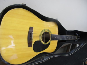 lot 290 image: Nice SAMICK Acoustic Guitar w Case