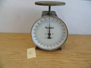lot 41 image: Auto Wate Scale