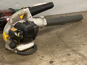 lot 75 image: Lot Of (2) Handheld Gas Blowers