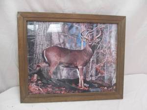 lot 81 image: deer print
