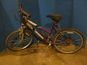 lot 171 image: Magna 18 speed mountain bike