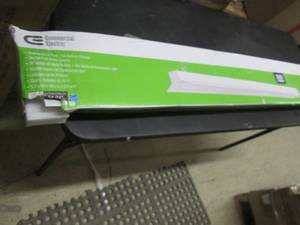 lot 13 image: CE 4 ft. 64-Watt Equivalent White I...