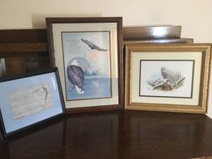 Framed Owl Prints and More
