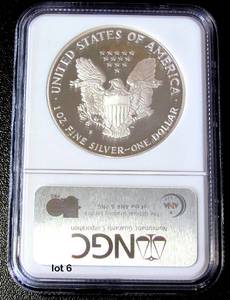 lot 6 image: 1991-S Silver American Eagle