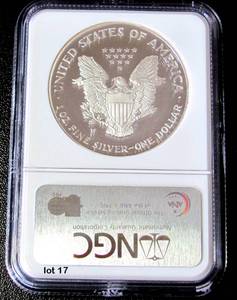 lot 17 image: 2002-W Silver American Eagle