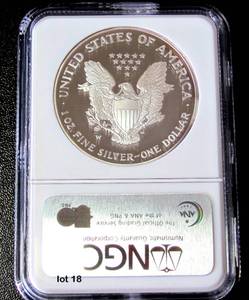 lot 18 image: 2003-W Silver American Eagle