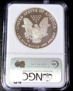 lot 19 image: 2004-W Silver American Eagle