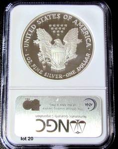lot 20 image: 2005-W Silver American Eagle