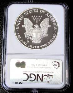 lot 22 image: 2007-W Silver American Eagle