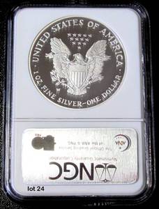 lot 24 image: 2007-W Silver American Eagle