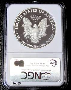 lot 25 image: 2008-W Silver American Eagle