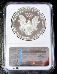 lot 28 image: 2010-W Silver American Eagle