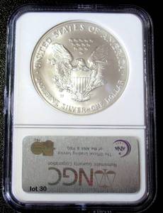 lot 30 image: 2006-W Silver American Eagle