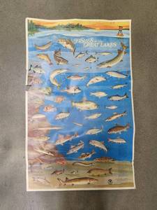 lot 50 image: VINTAGE Fishes of the Great Lakes Poster